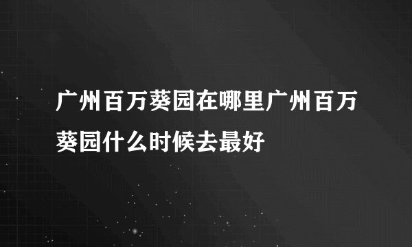 广州百万葵园在哪里广州百万葵园什么时候去最好