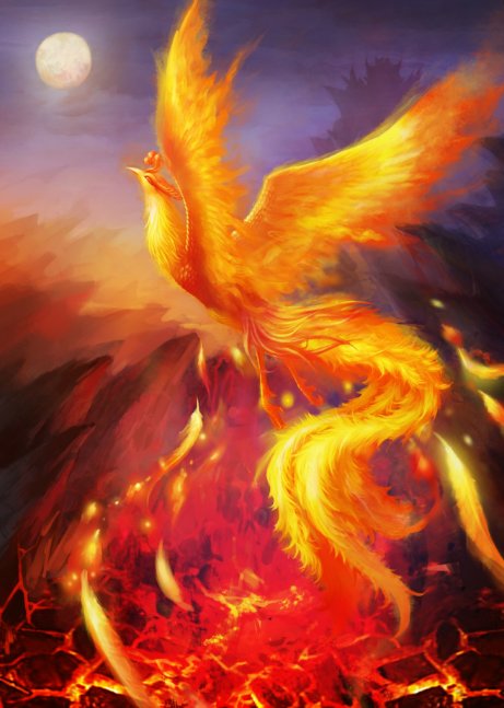 请问凤凰两字中哪个是公的，哪个是母的？