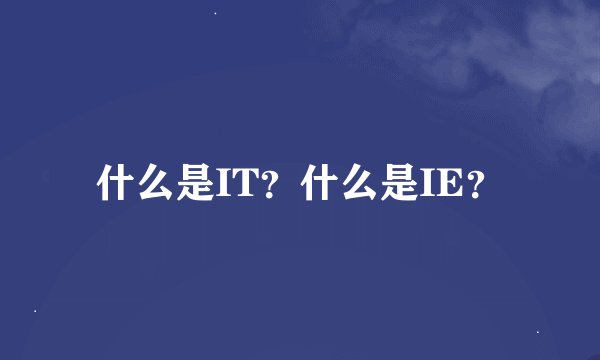 什么是IT？什么是IE？