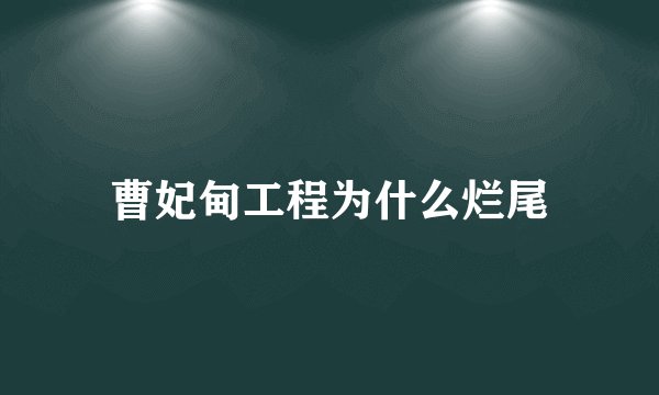 曹妃甸工程为什么烂尾