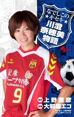 川澄奈穗美的介绍