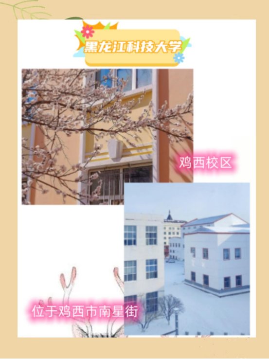 黑龙江科技大学有几个校区