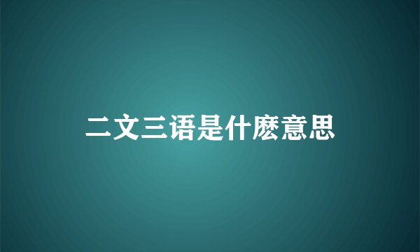 二文三语是什麽意思