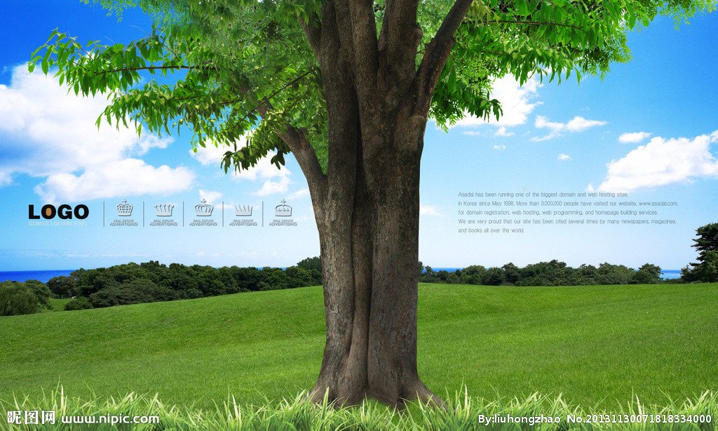 大树网大学生购物商城的经营品牌