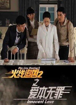 火线追凶2之爱本无罪的剧情简介
