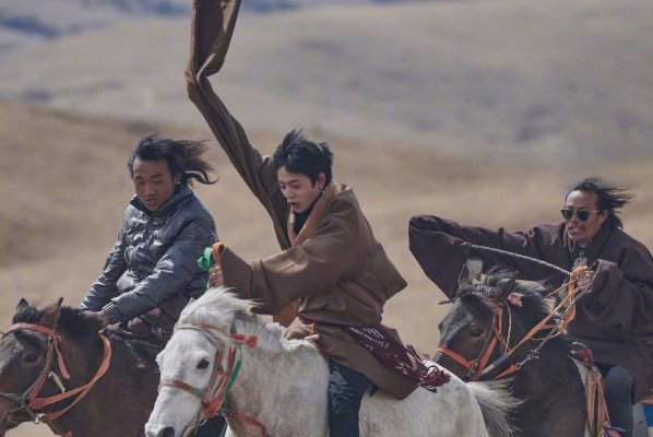 丁真珍珠被哪所大学录取了？