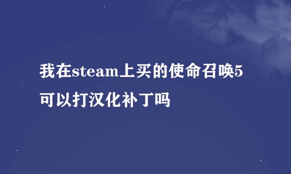 我在steam上买的使命召唤5可以打汉化补丁吗