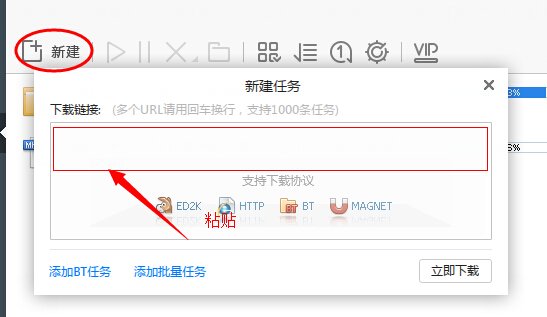 电影不二神探高清迅雷下载