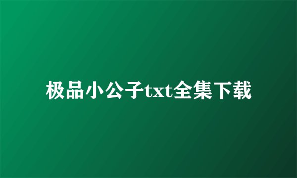 极品小公子txt全集下载