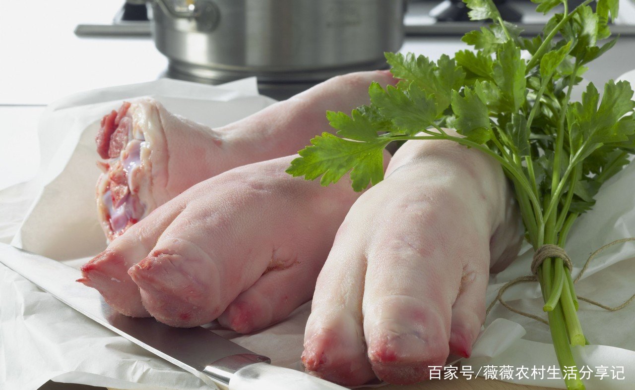 猪蹄髈上的皮，到底是胶原蛋白还是脂肪呢？