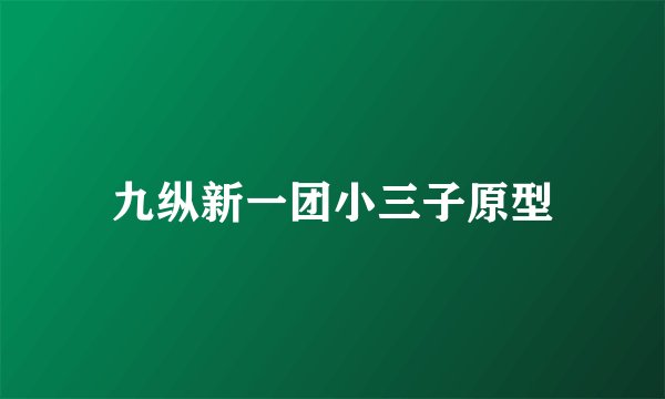九纵新一团小三子原型