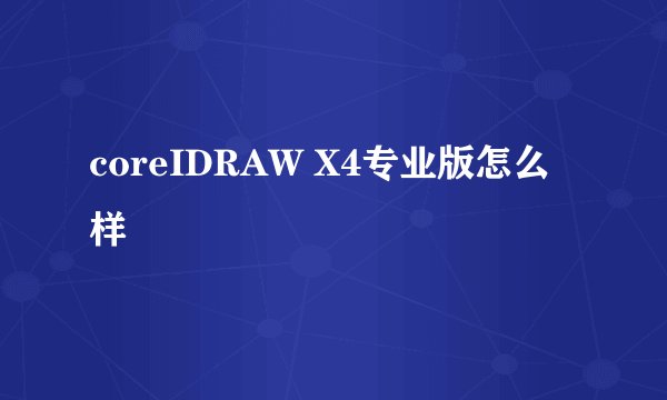 coreIDRAW X4专业版怎么样