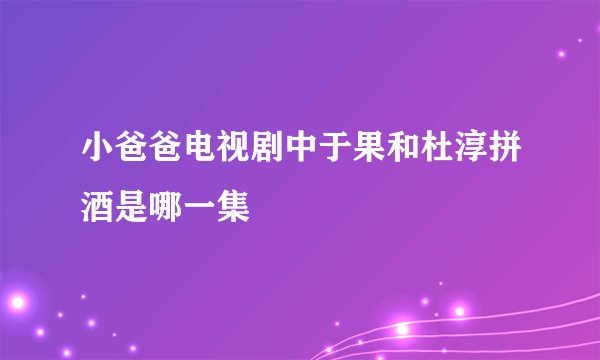 小爸爸电视剧中于果和杜淳拼酒是哪一集