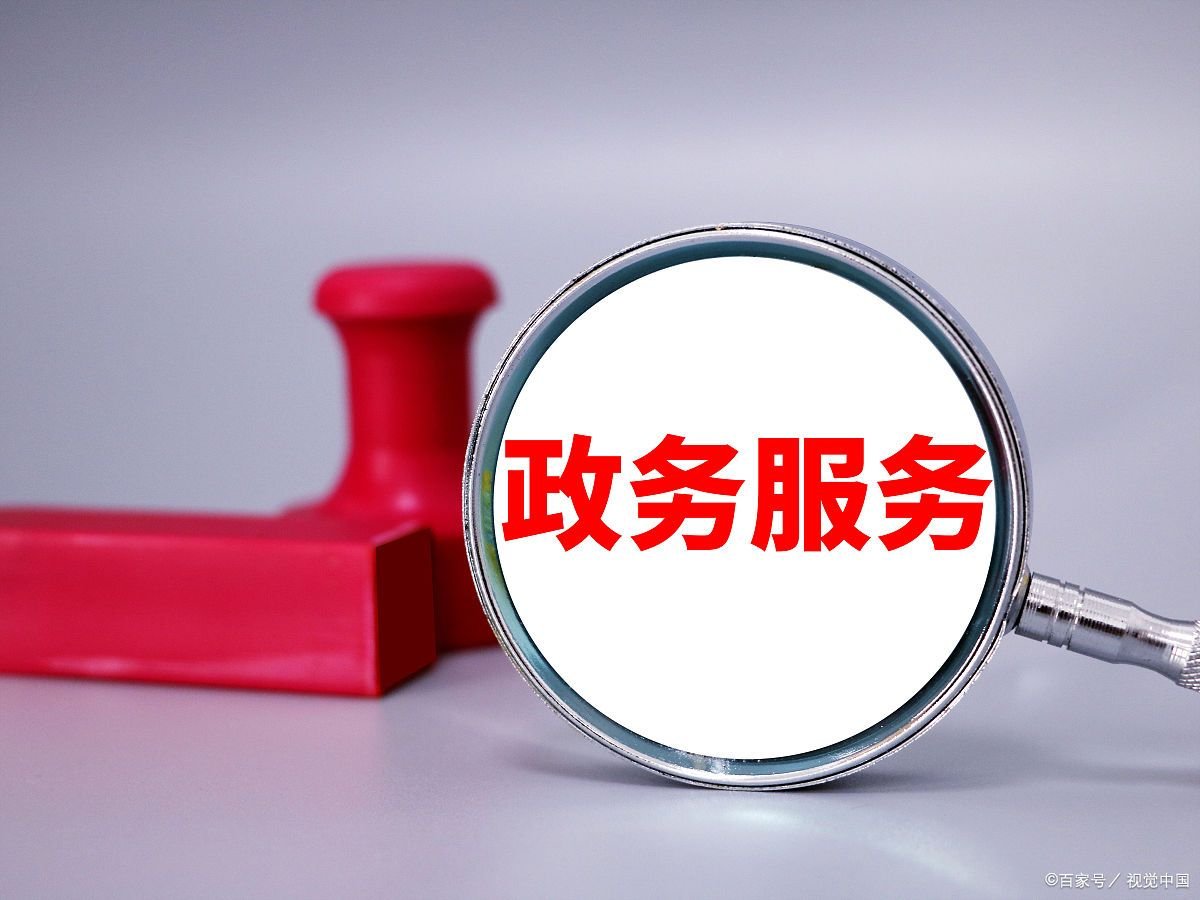 国家政务服务平台的网址是什么？