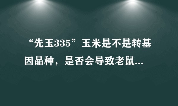 “先玉335”玉米是不是转基因品种，是否会导致老鼠减少，母猪流产
