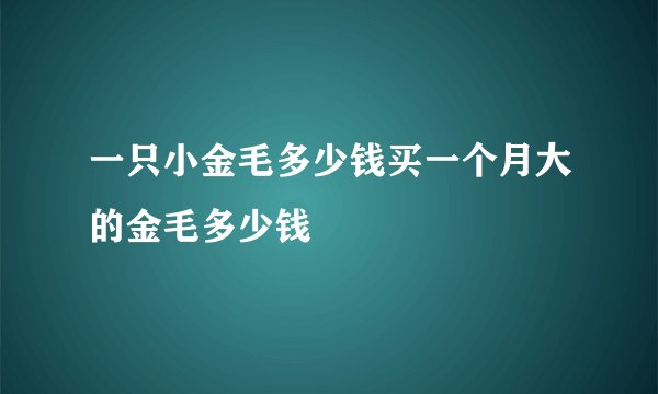 一只小金毛多少钱买一个月大的金毛多少钱