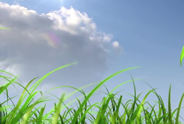 今年有什么年度关键词吗？