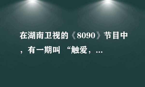 在湖南卫视的《8090》节目中，有一期叫 “触爱，我的真假王子”，肖娜和刘小洋的故事