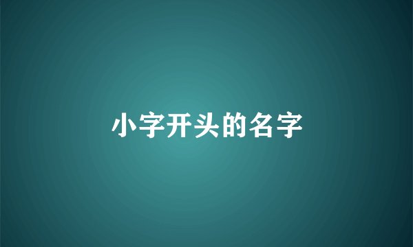 小字开头的名字