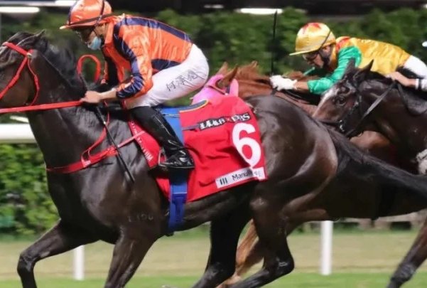 2024香港赛马赛程表