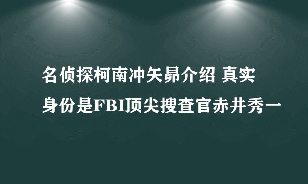 名侦探柯南冲矢昴介绍 真实身份是FBI顶尖搜查官赤井秀一