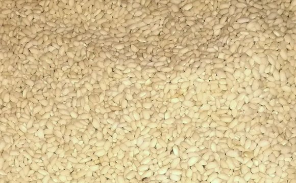 糯米山药产地在哪儿