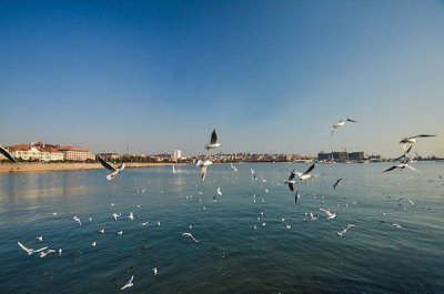 12米巨型真龙发现事件 海底惊现恐怖生物发现一条真龙