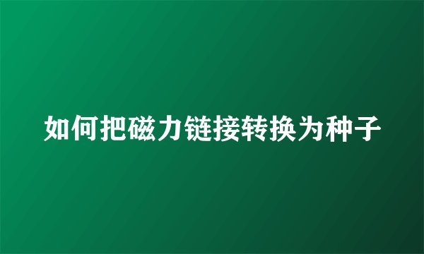如何把磁力链接转换为种子