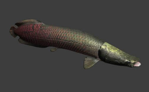 一米等于多少毫米？