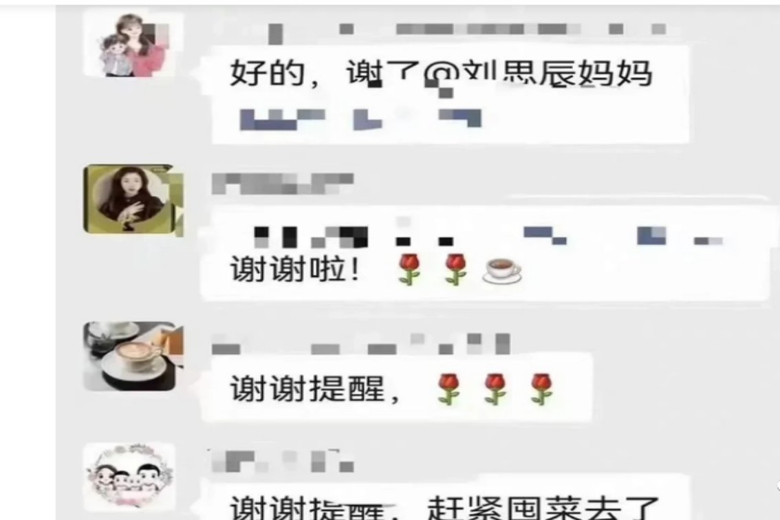 刘思辰妈妈怎么回事