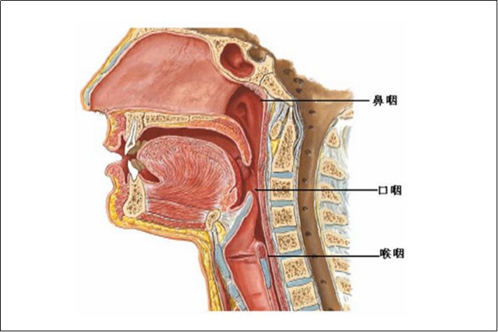 咽的拼音和组词