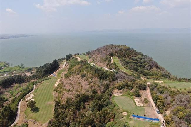 单手拔树的书记，被党内严重警告，单手拔树会给树带来哪些影响？