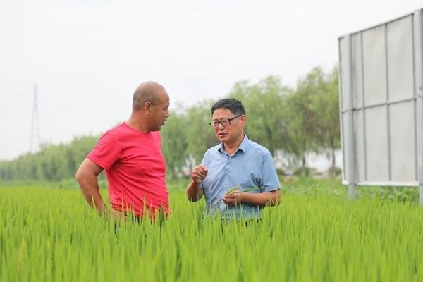 专家预测极端高温还将卷土重来，气候危机纪元真的来了？