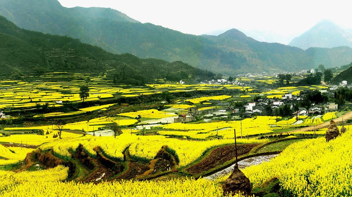 寒山冷月千秋锁下一句？