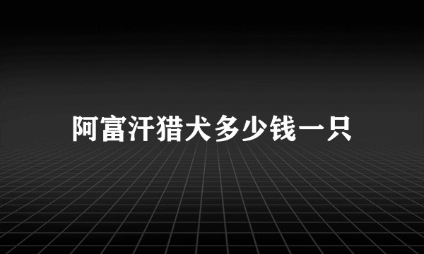 阿富汗猎犬多少钱一只