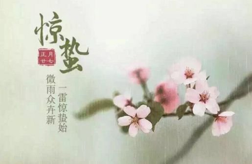 惊蛰读惊zhi吗还是读惊zhe?我爸说读惊zhi,他还说是在一个字典里看得到。