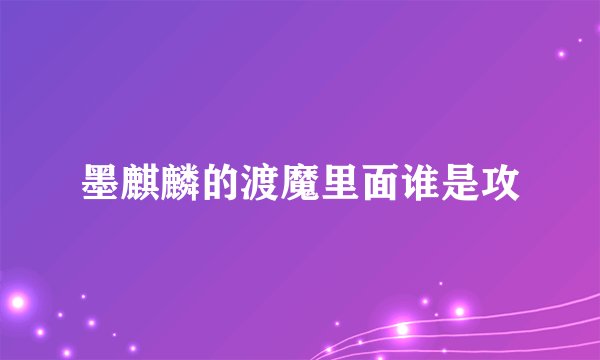墨麒麟的渡魔里面谁是攻