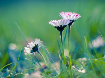 用响彻云霄，组成一句话。