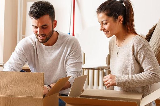 英文名字lvy寓意