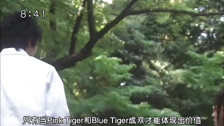 满福少女的分集目录