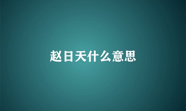 赵日天什么意思