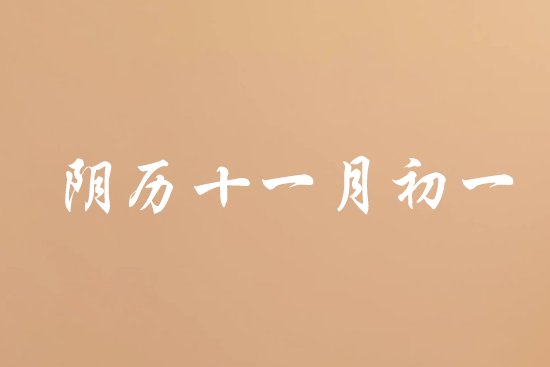 阴历十一月初一是什么日子