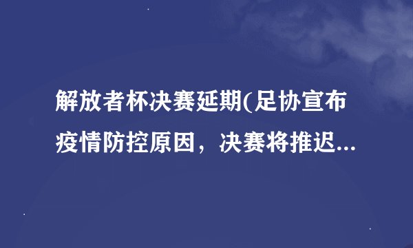 解放者杯决赛延期(足协宣布疫情防控原因，决赛将推迟至未来日期举行。)