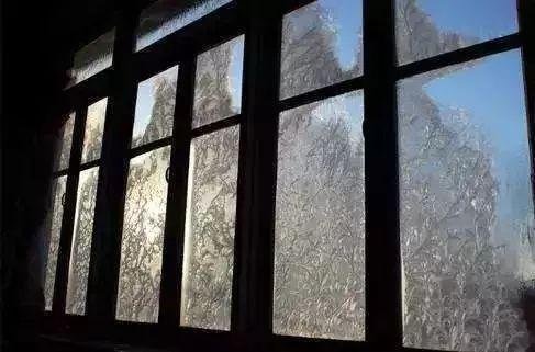 窗上的冰花像什么呢?