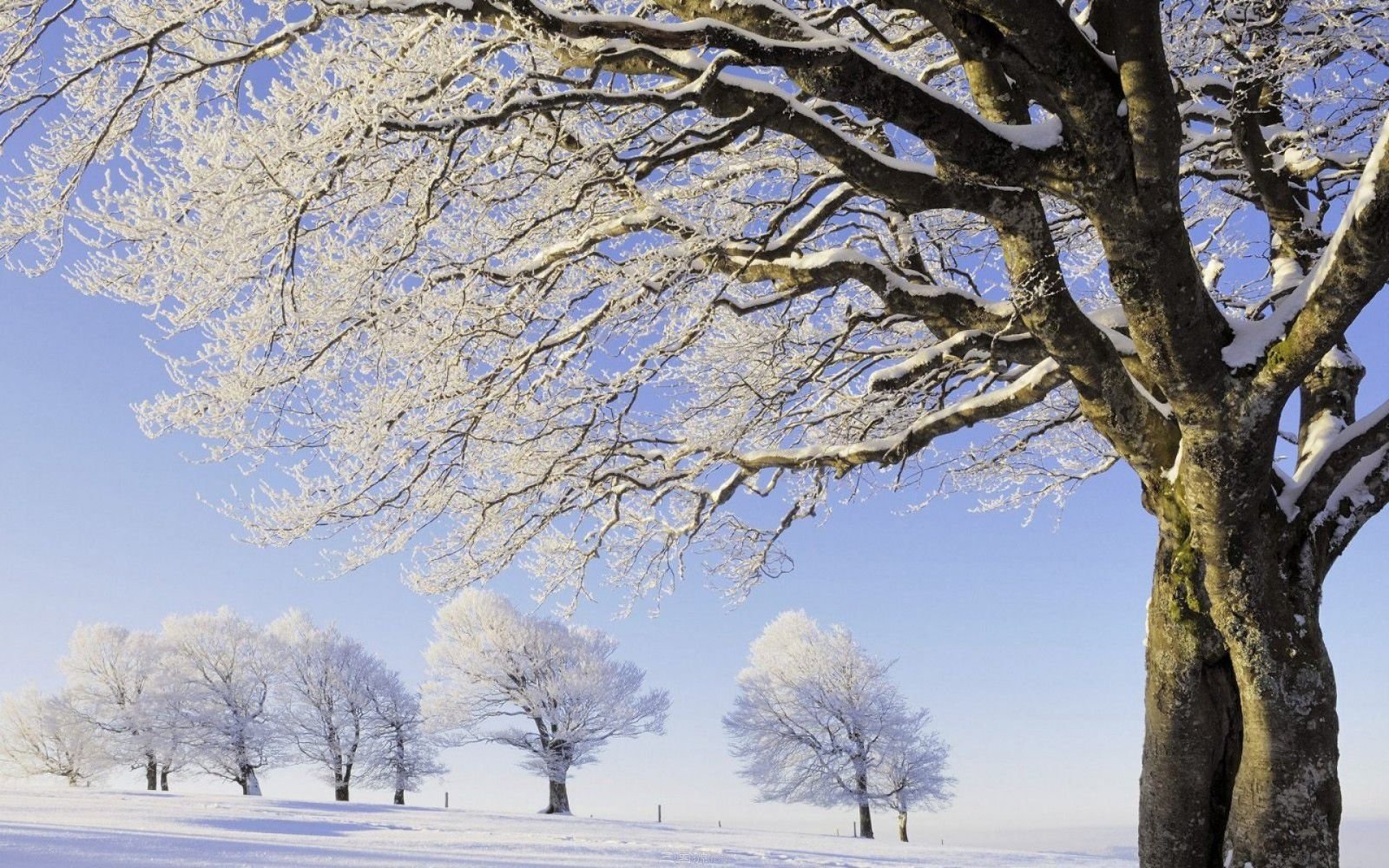 夏至和冬至北京的昼长大约有多久？