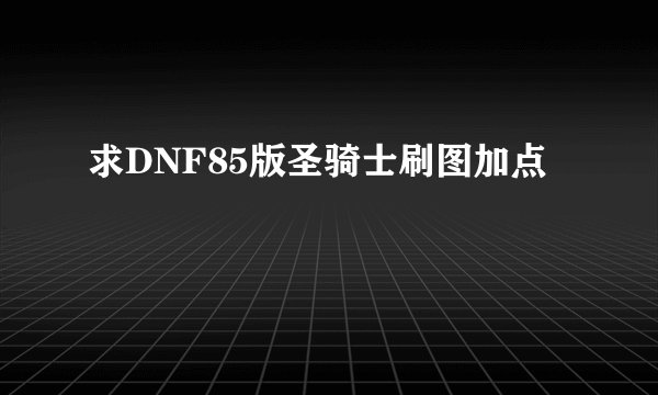 求DNF85版圣骑士刷图加点