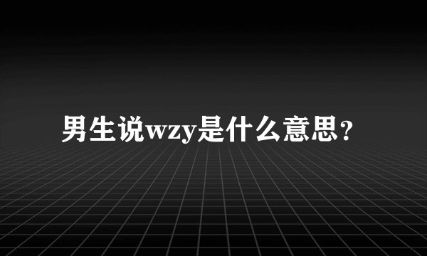 男生说wzy是什么意思？