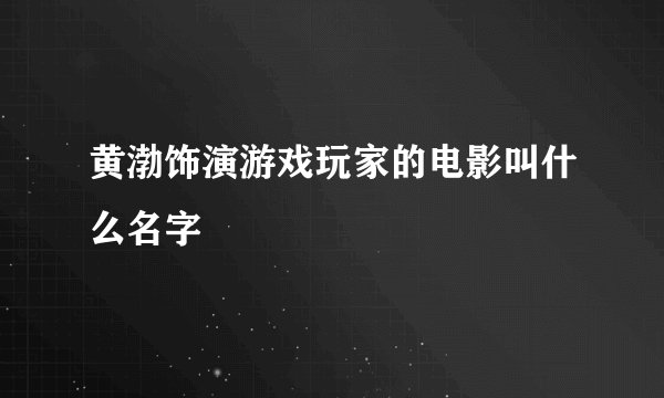 黄渤饰演游戏玩家的电影叫什么名字