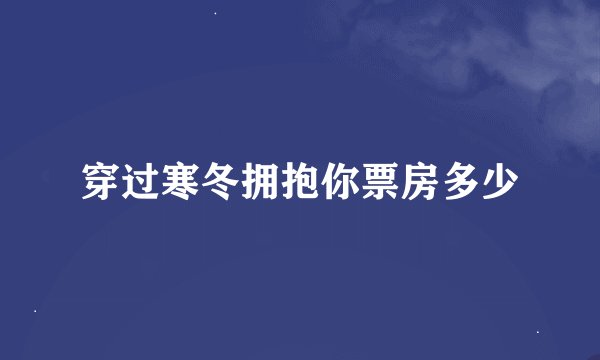 穿过寒冬拥抱你票房多少