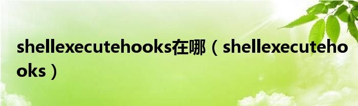 shellexecutehooks在哪shellexecutehooks